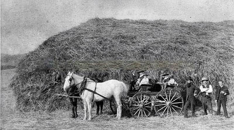 Horses and Buggy in Front of Haystack, 1880