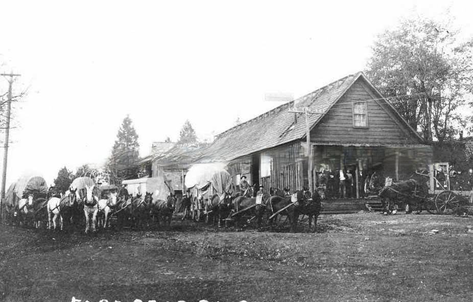 A building with several horse and mule drawn freight wagons parked around the building, 1880