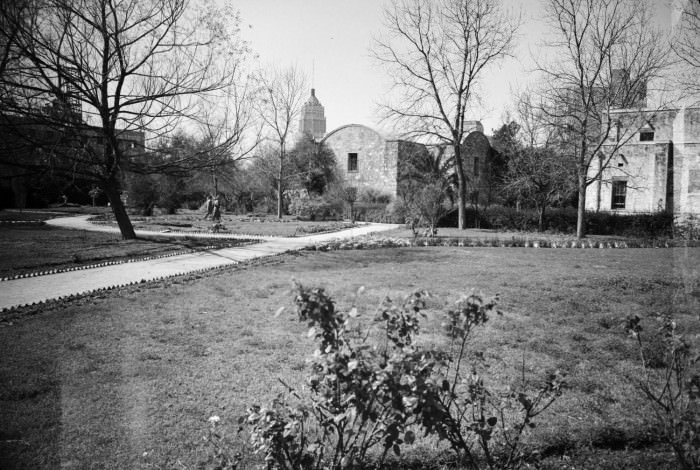 A view of the Alamo courtyard in San Antonio, 1950