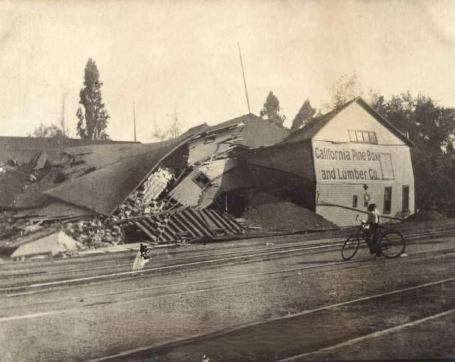 Calif. Pine Box & Lumber Co. after earthquake 1906