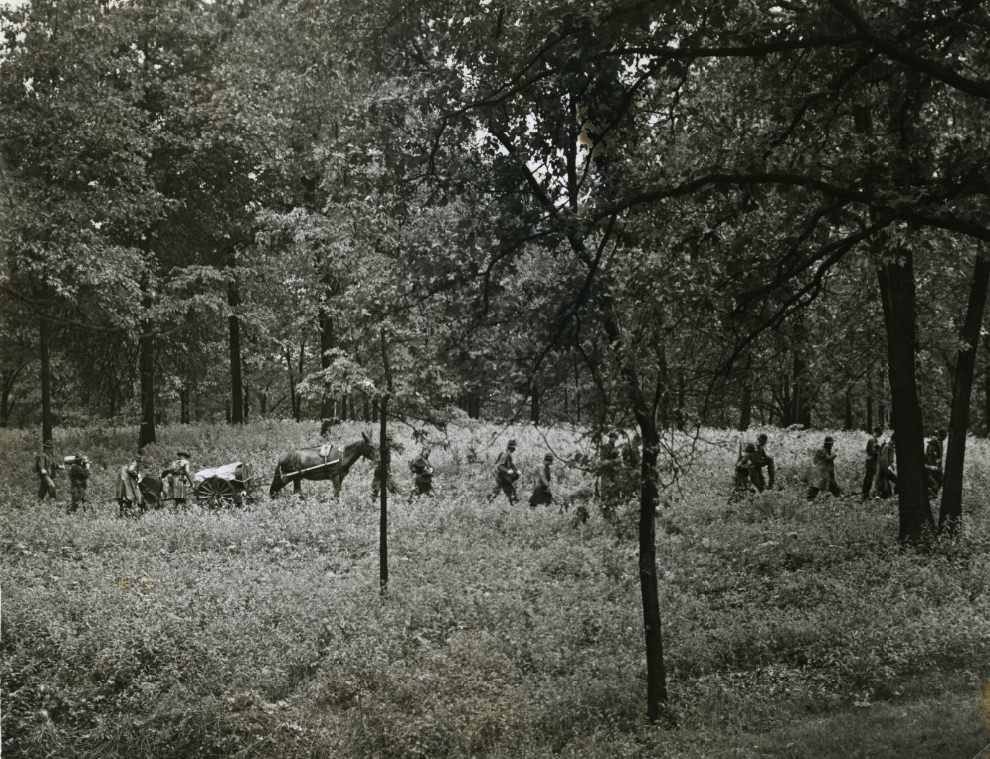 A Communications Unit Advances Into The Woods, 1938