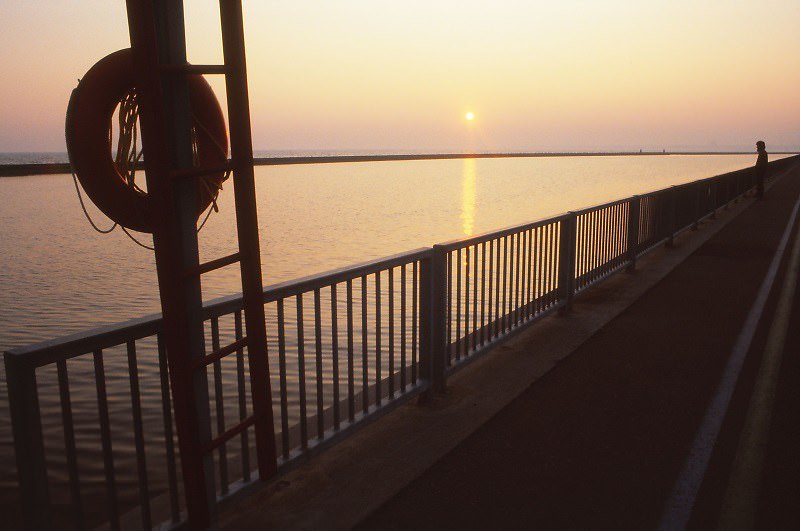 Lake Ontario, Toronto, 1984