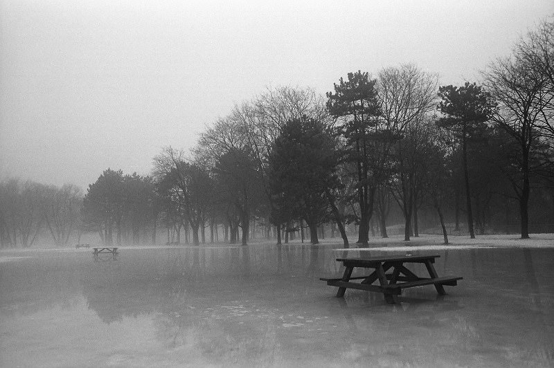 High Park, Toronto, 1985