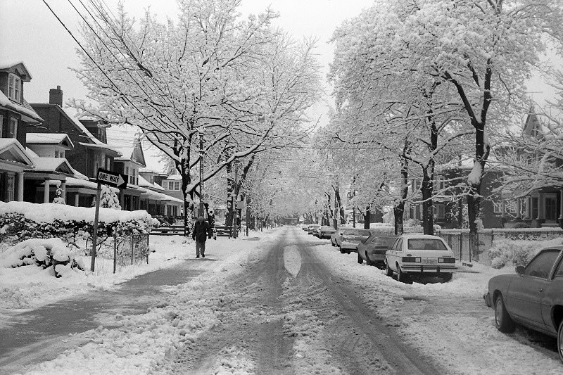 Boustead Avenue, Toronto, 1982