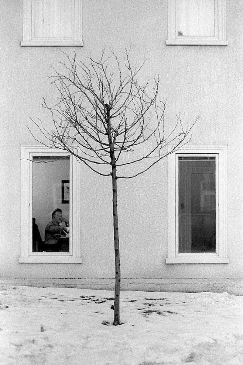 Cabbagetown Toronto, 1981