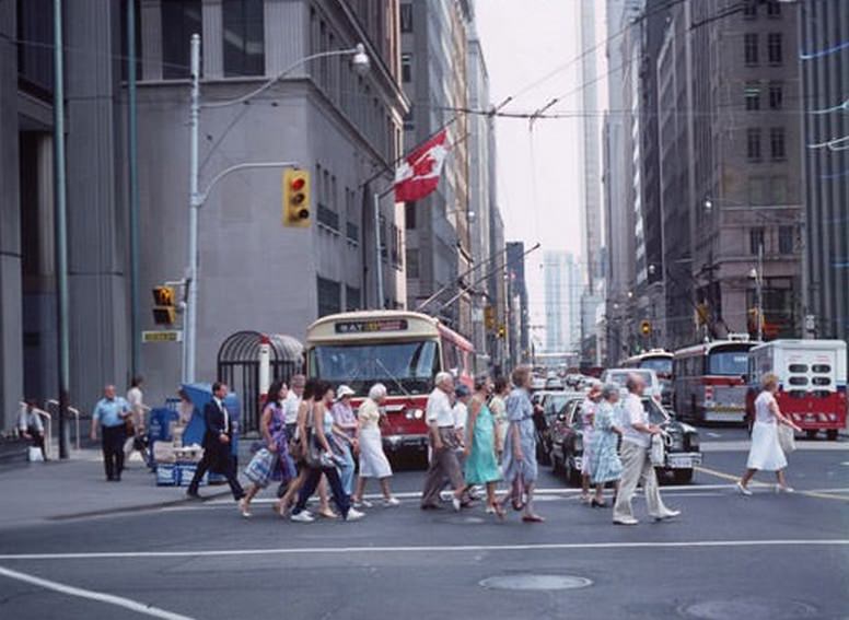 Bay Street trolley buses, July 18, 1983.