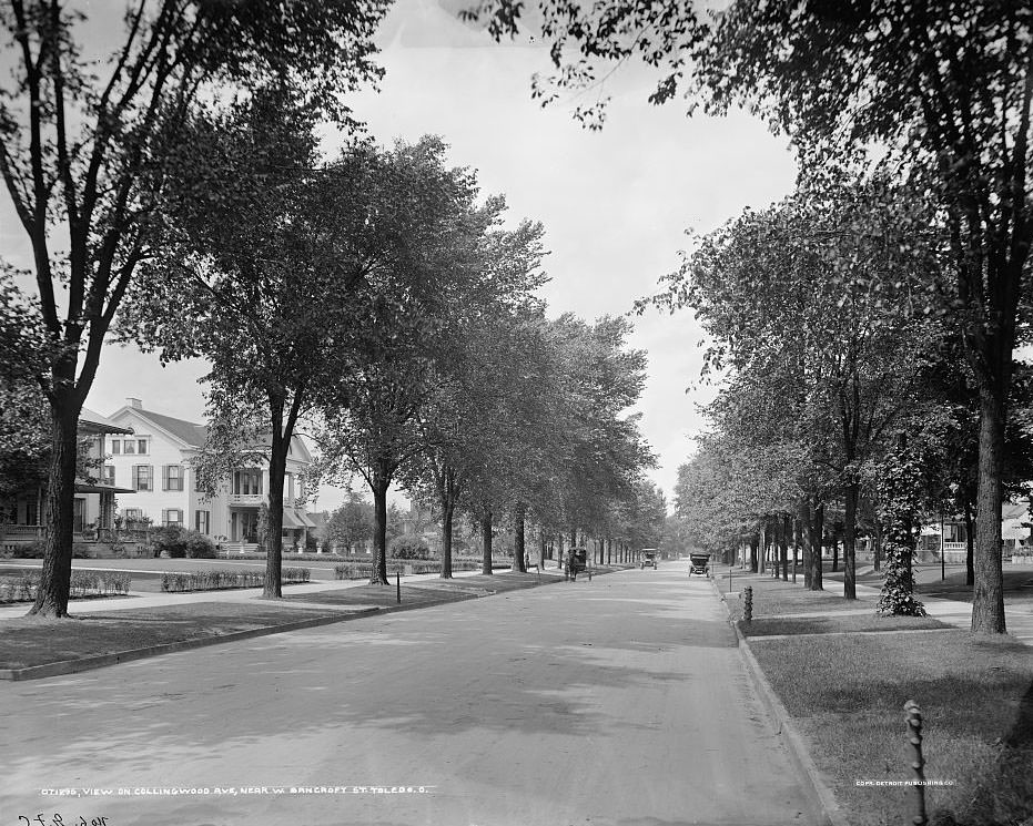 View on Collingwood Ave., near W. Bancroft Street, Toledo, Ohio, 1903