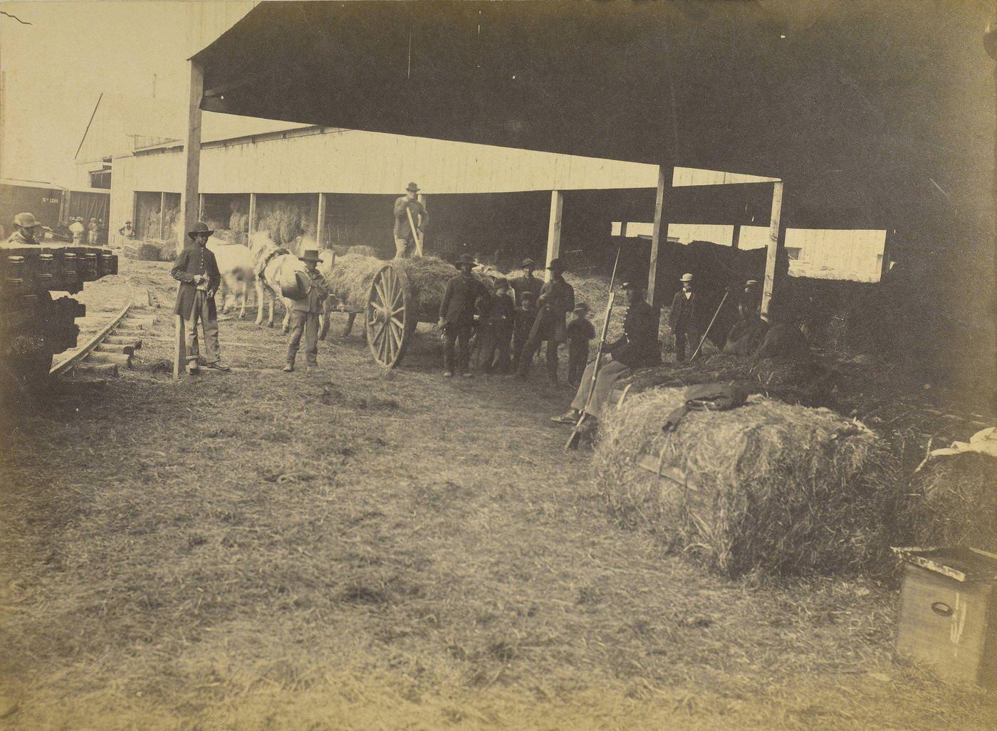 Hay Wharf, Alexandria, 1863