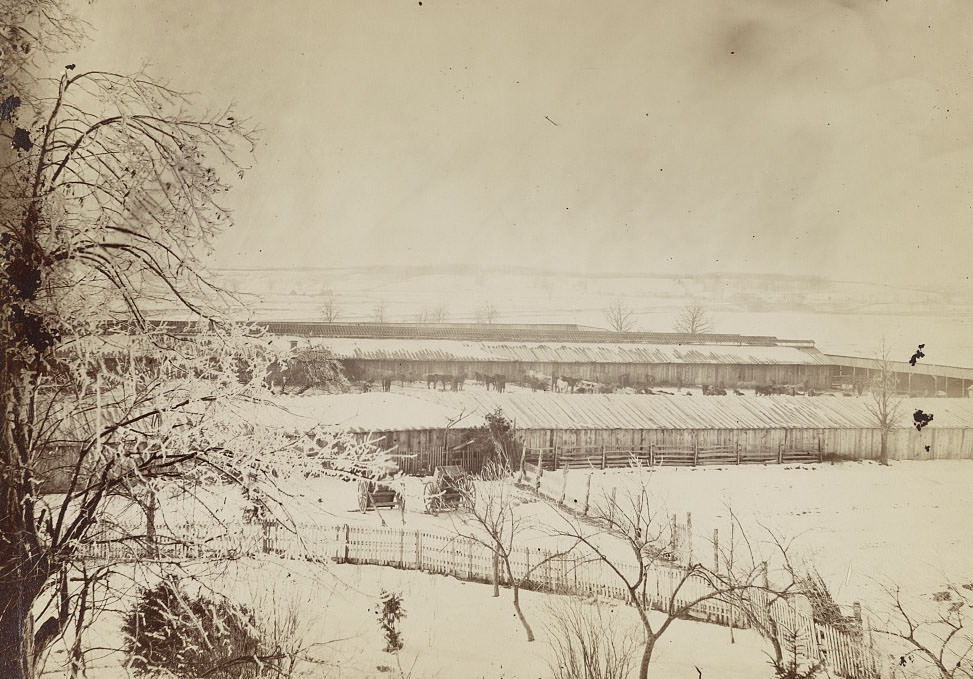 Quartermaster's corrall (i.e. corral), near Alexandria, 1864