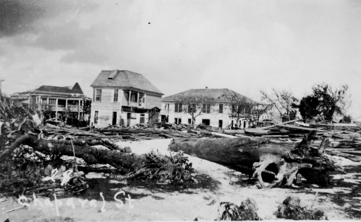Houses on Chaparral Street by the Seashore Club, 1919