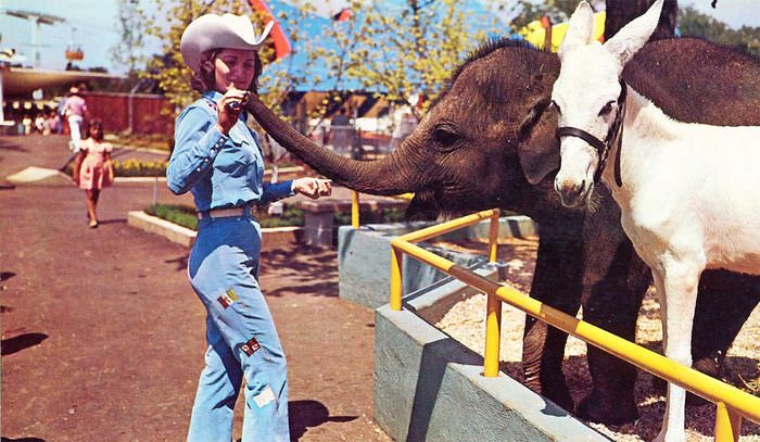 Elephants were part of the appeal of newly-opened Six Flags Over Texas in 1961.