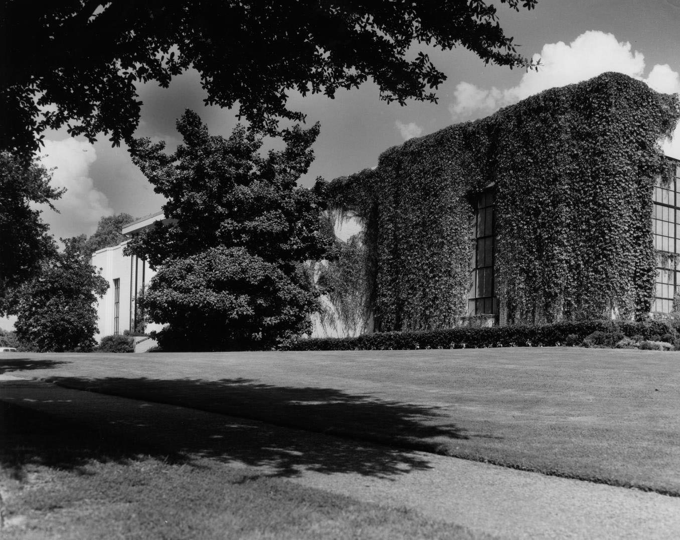 Vine Covered Dallas Garden Center, 1968