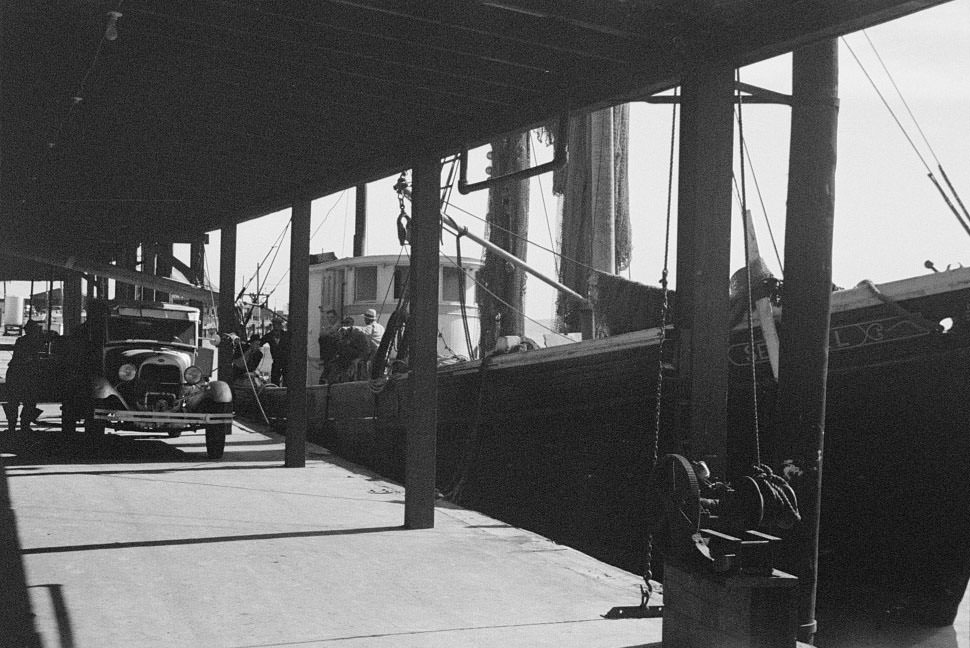 Fishing boats in harbor, Newport News, Virginia, 1936