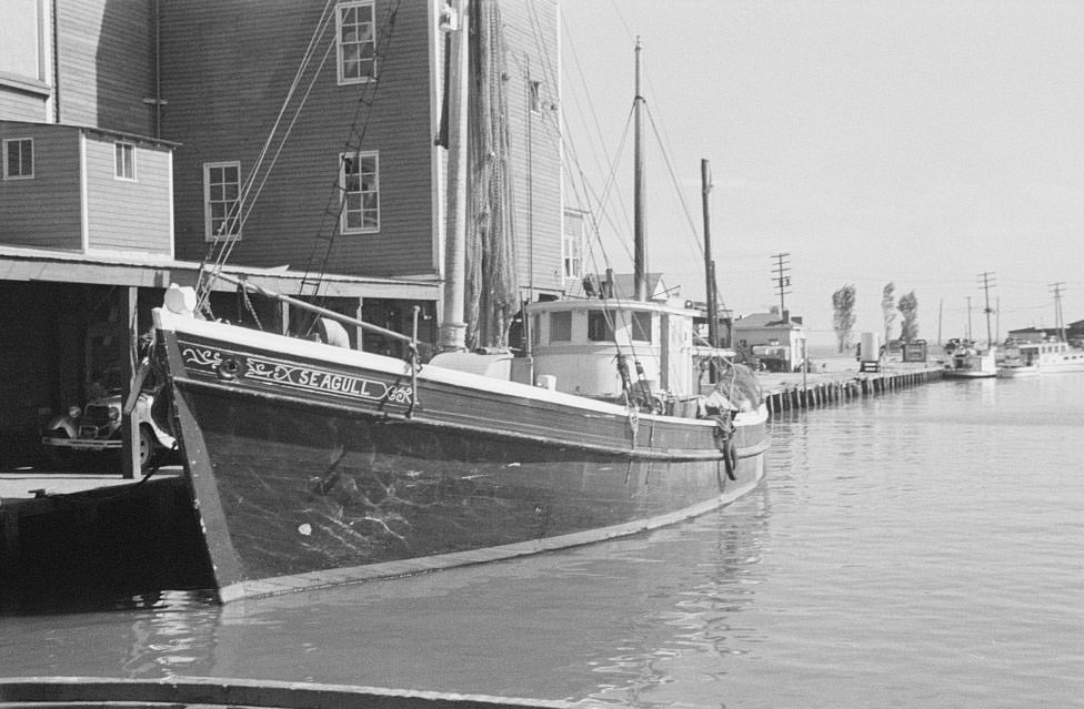 Fishing boats in harbor, Newport News, 1936