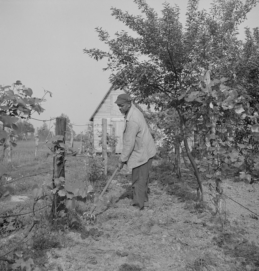 Shipyard worker at his rural home, 1942