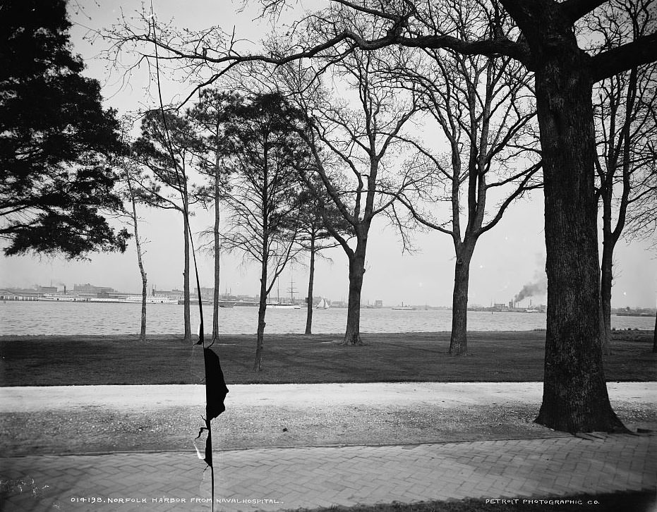 Norfolk Harbor from Naval Hospital, 1903