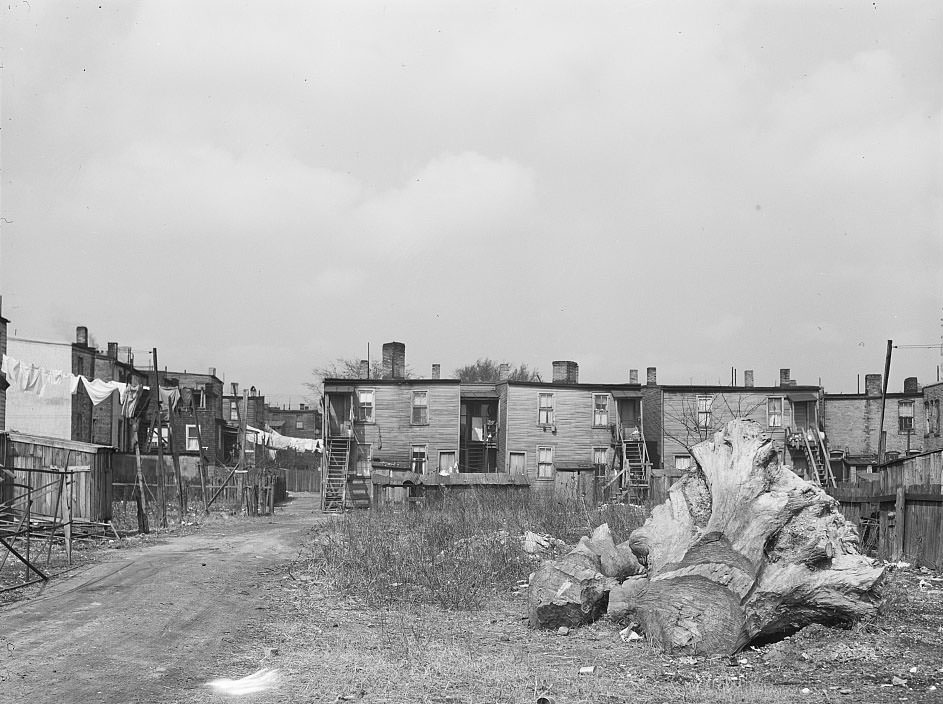 Negro slum district. Norfolk, Virginia, 1941