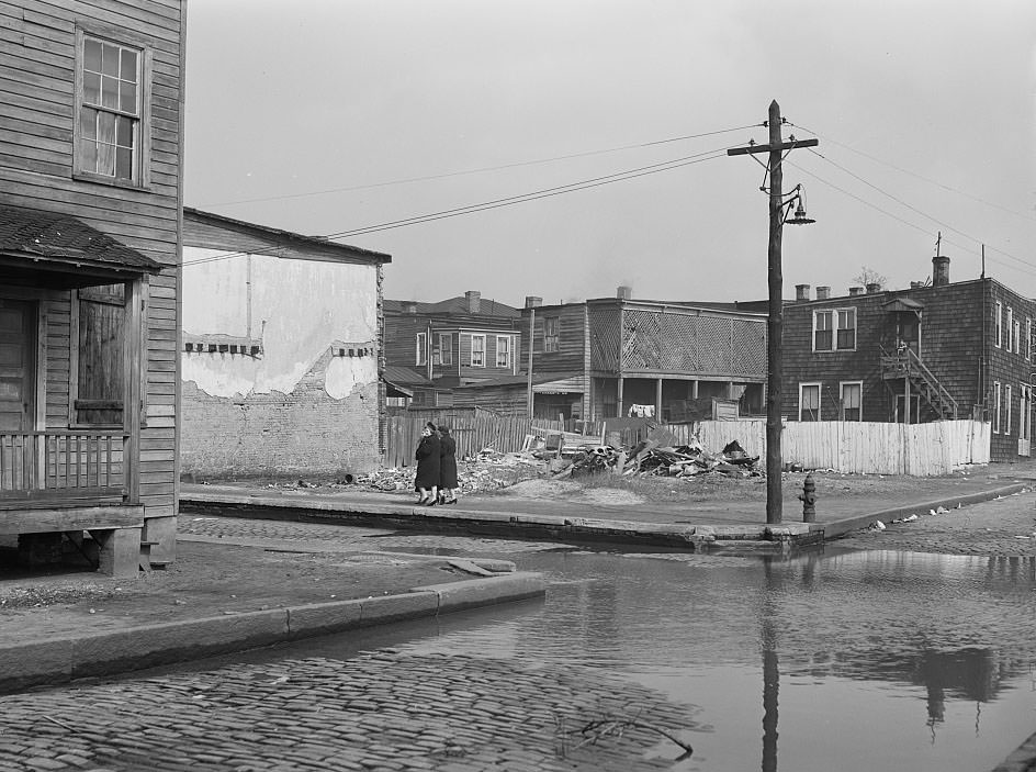 Untitled photo, possibly related to: Backed up sewer in a slum district, Norfolk, Virginia, 1941