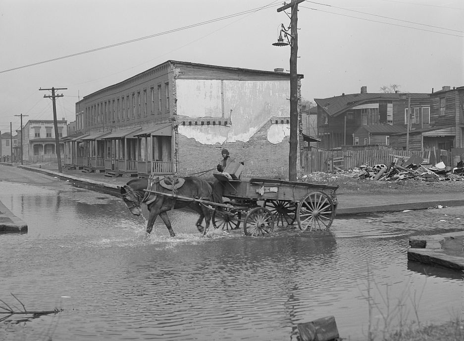 Backed up sewer in Negro slum district. Norfolk, 1941