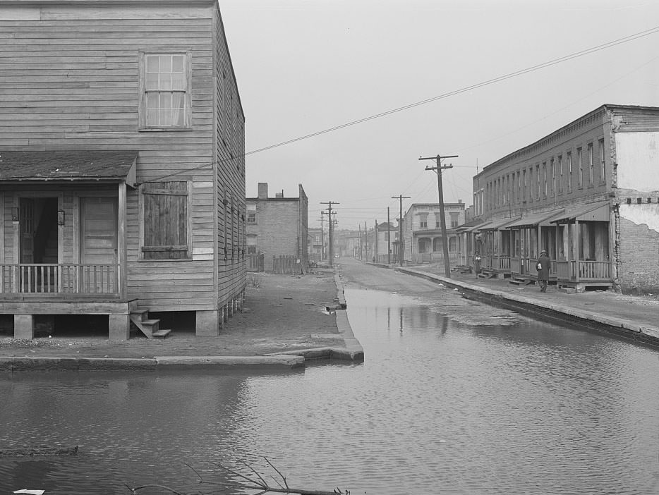 Untitled photo, possibly related to: Backed up sewer in Negro slum district. Norfolk, Virginia, 1941