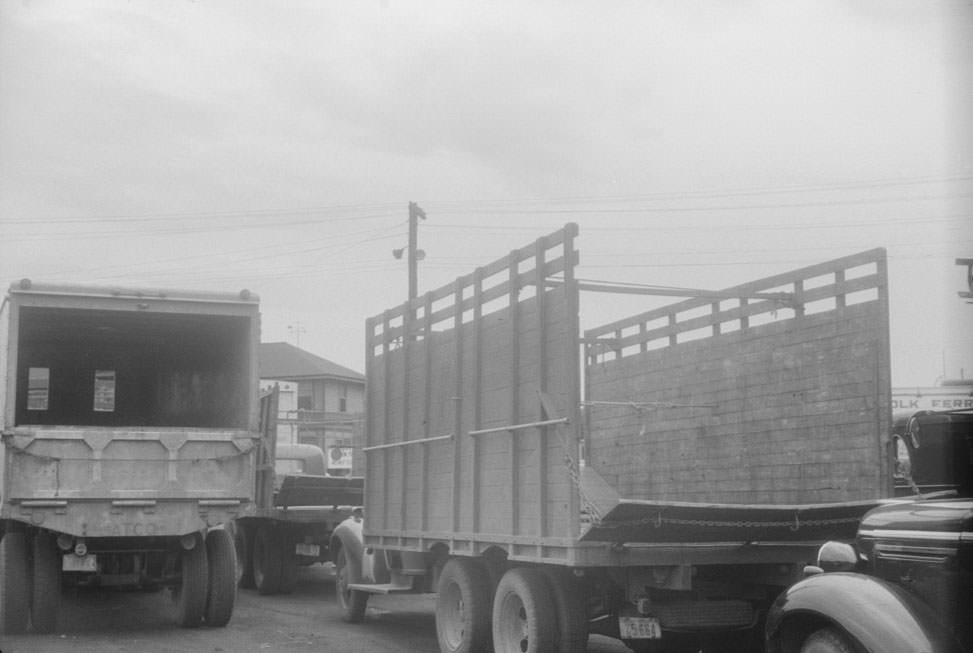 Trucks waiting at Cape Charles, Virginia for ferry to Norfolk, Virginia, 1940