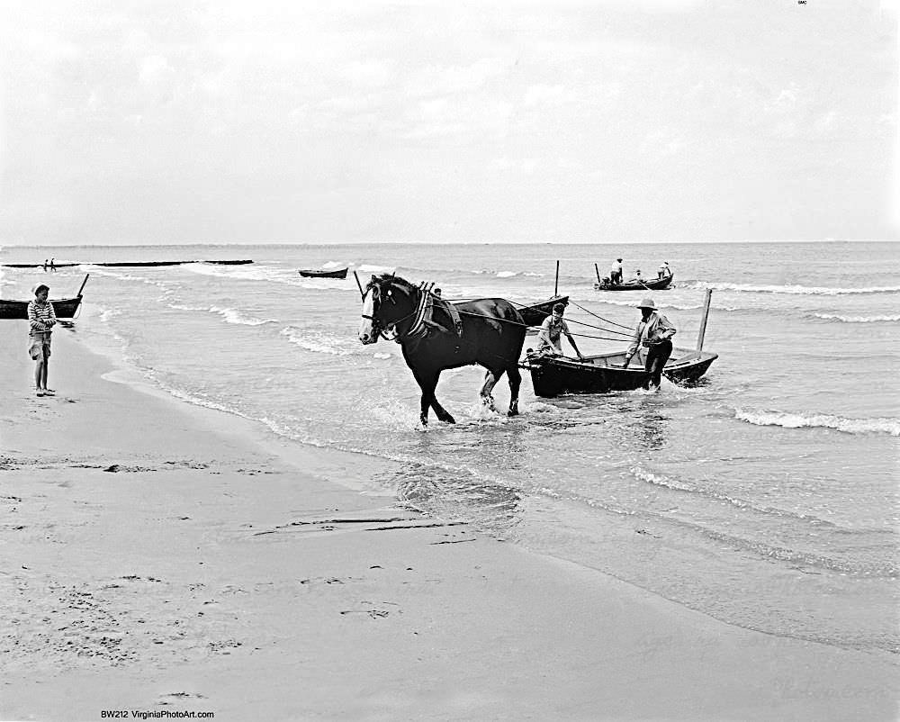 Big Ben (horse) Ocean View Beach, 1944