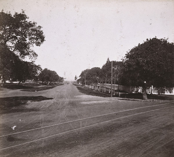 San Pablo Road, from the Junction, Oakland, 1867