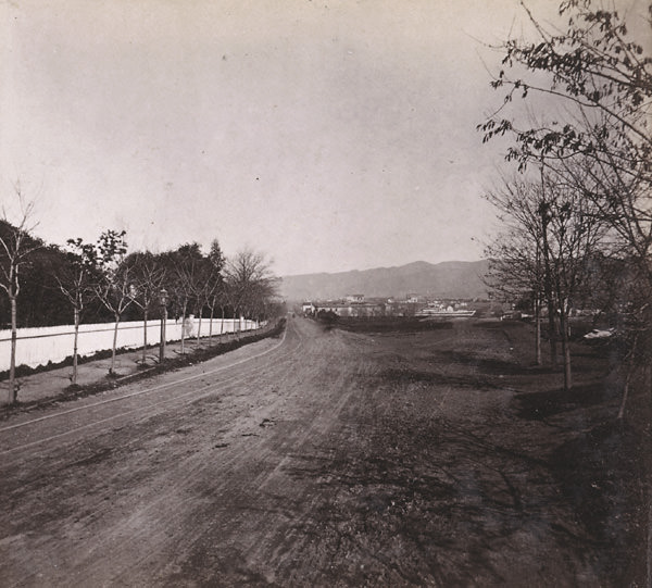 Telegraph Road, from the Junction, Oakland, 1867