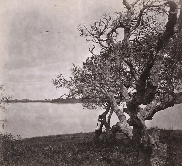 View on Lake Merritt, Oakland, 1864
