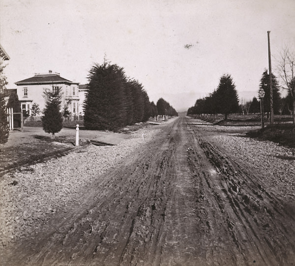Jackson Street, looking North, Oakland, 1862