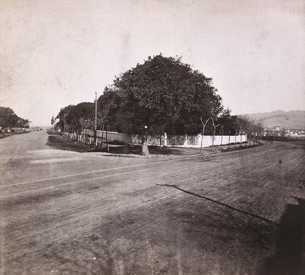 Junction San Pablo and Telegraph Road, Oakland, 1861