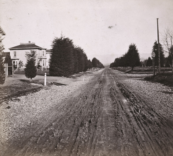 Jackson Street, looking North, Oakland, 1867