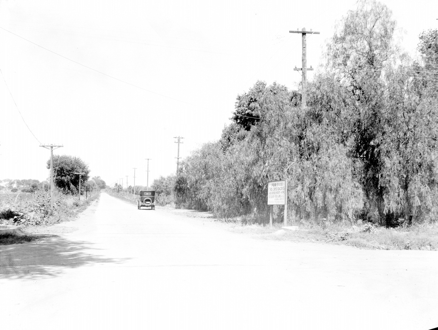 Landscape of an Old Road Near Phoenix, 1925
