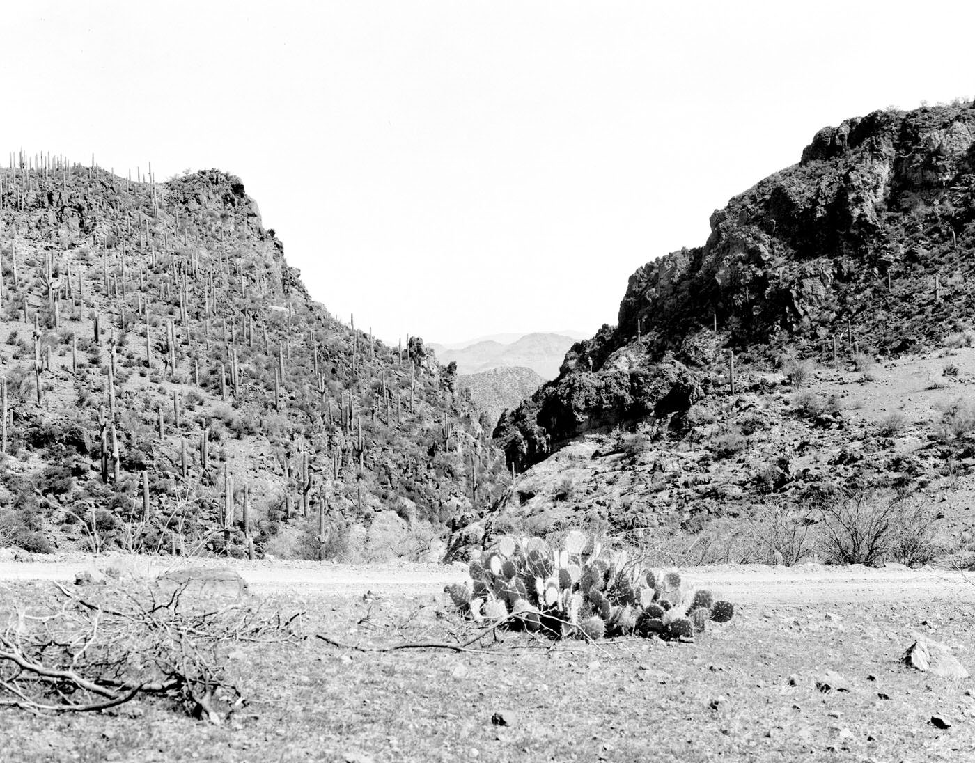 Desert Along the Apache Trail, 1925