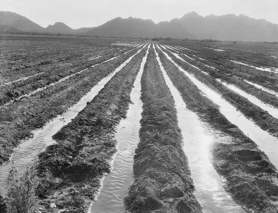 Fields about 70 miles from Phoenix in the process of being irrigated in May 1937.