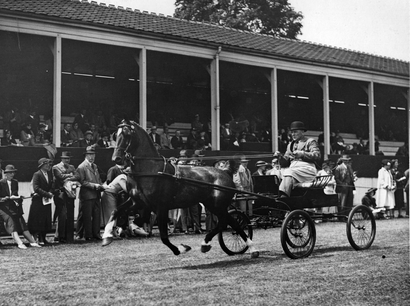 A trotting horse with cart and driver race past the spectators at Richmond Horse Show, 1900