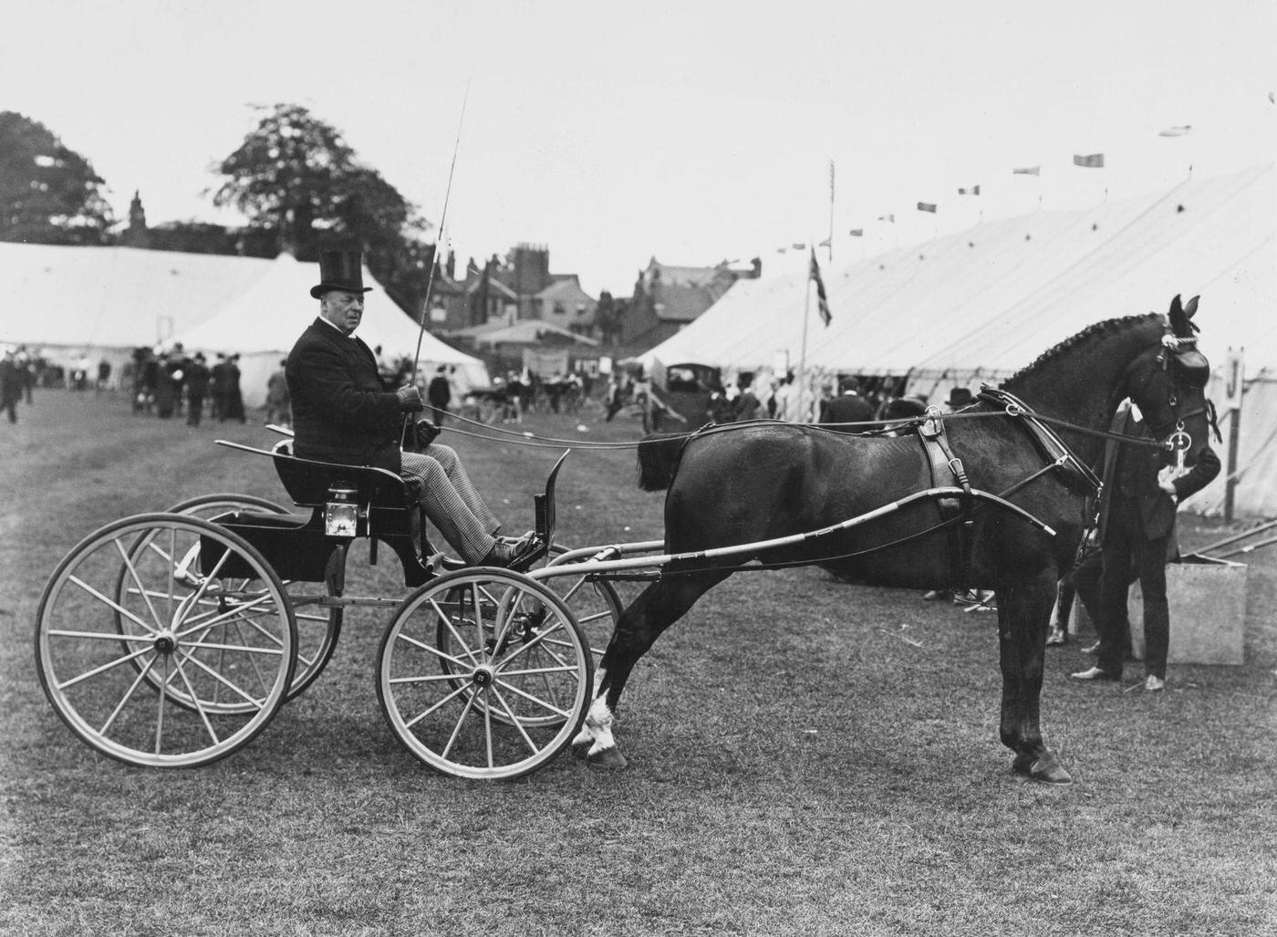 Mr John Jones driving Cherry Boys at the Richmond, 14th June 1907.