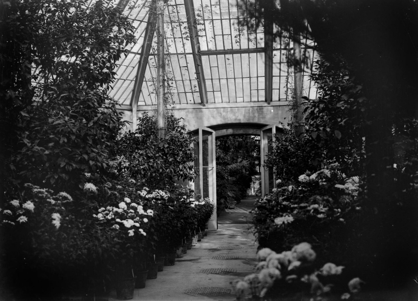 Royal Kew Gardens Angleterre, 1900