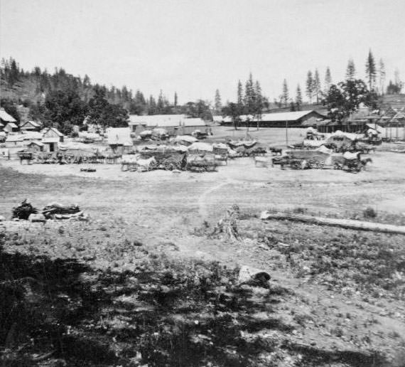 Colfax from the South, 1860s