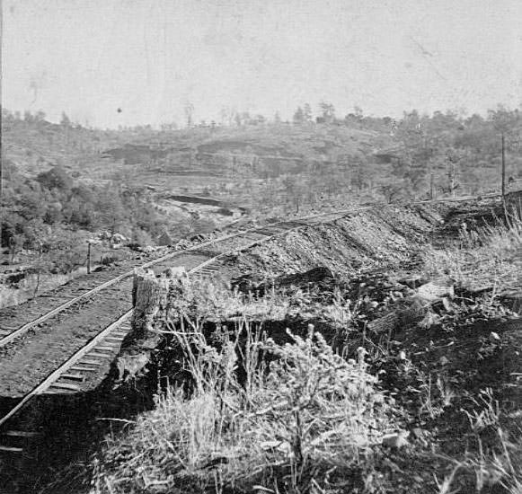 Road above Newcastle, 1860s