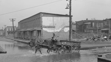 Norfolk 1940s
