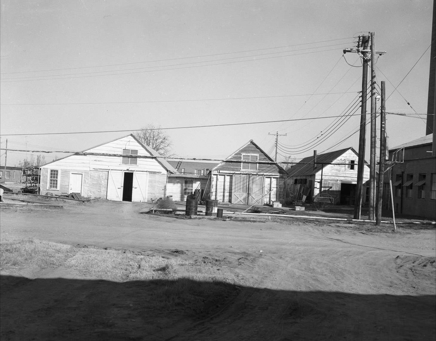 Abilene State School, 1958. In this image are three whether worn barns off the side of a dirt road.