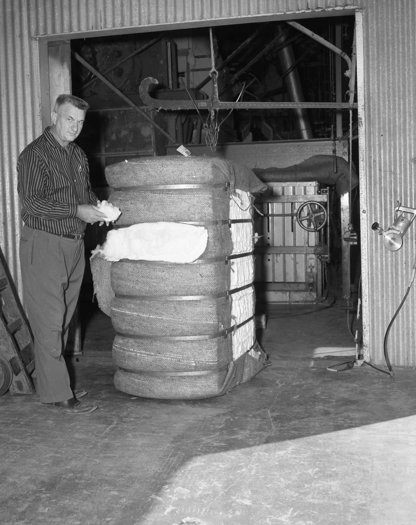 Man Holding Cotton at Cotton Gin, 1958