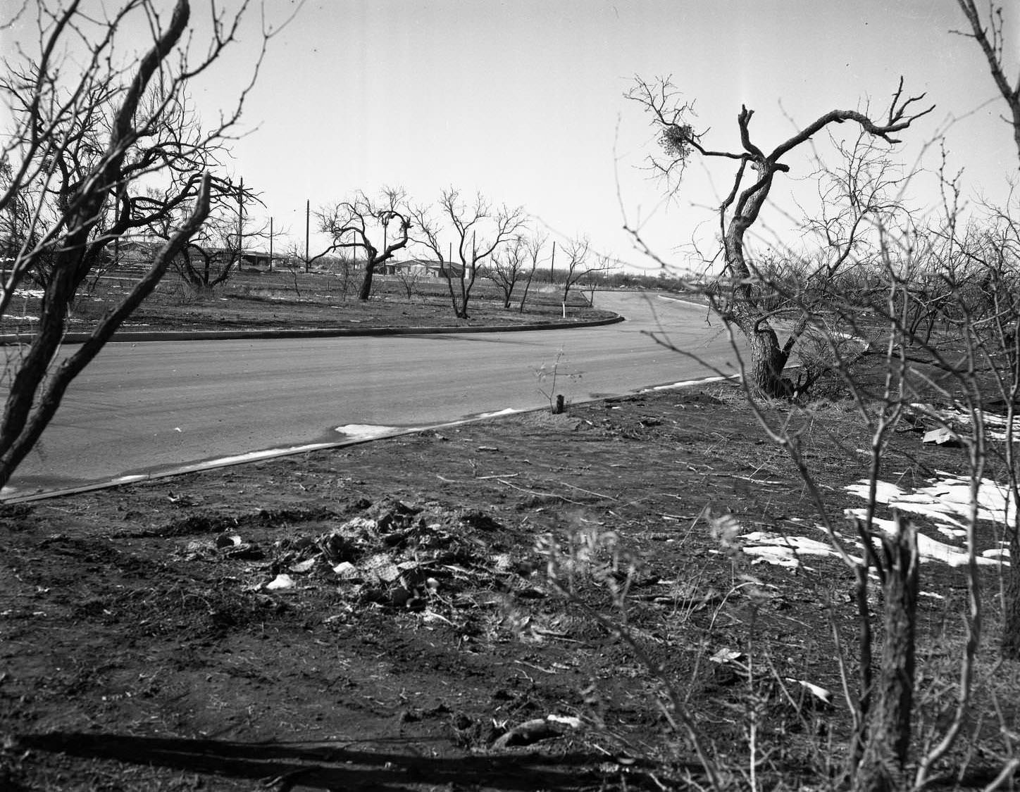 River Oaks Residential Neighborhood, 1955