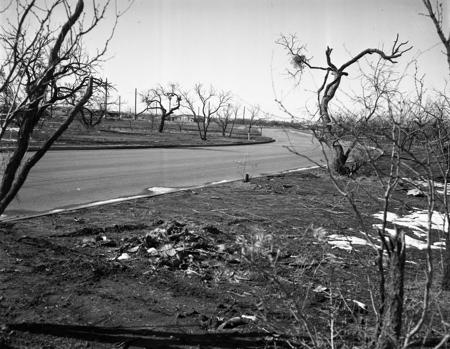 River Oaks Residential Neighborhood, 1955