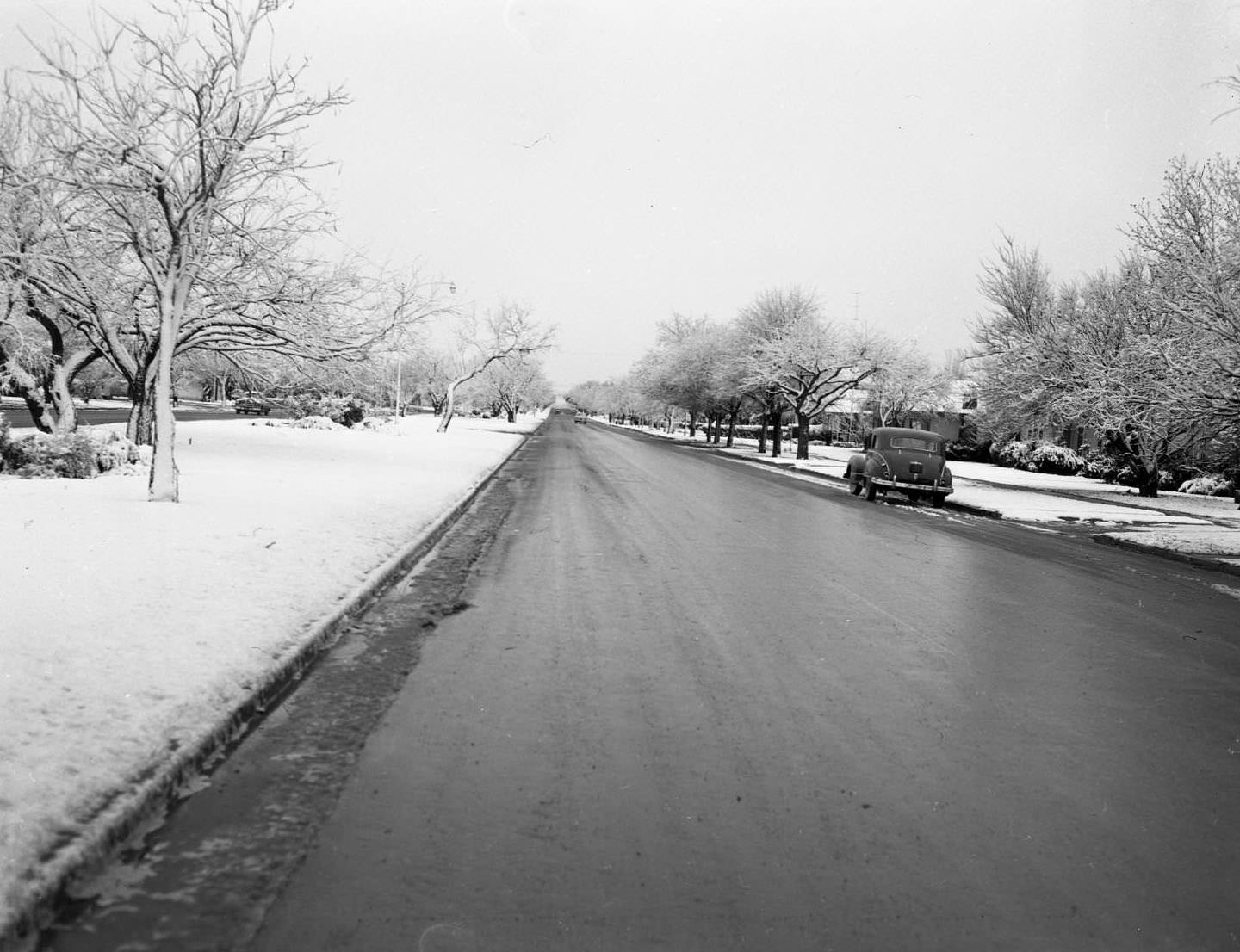A street scene with the sidewalks and vegetation all covered in snow, 1959