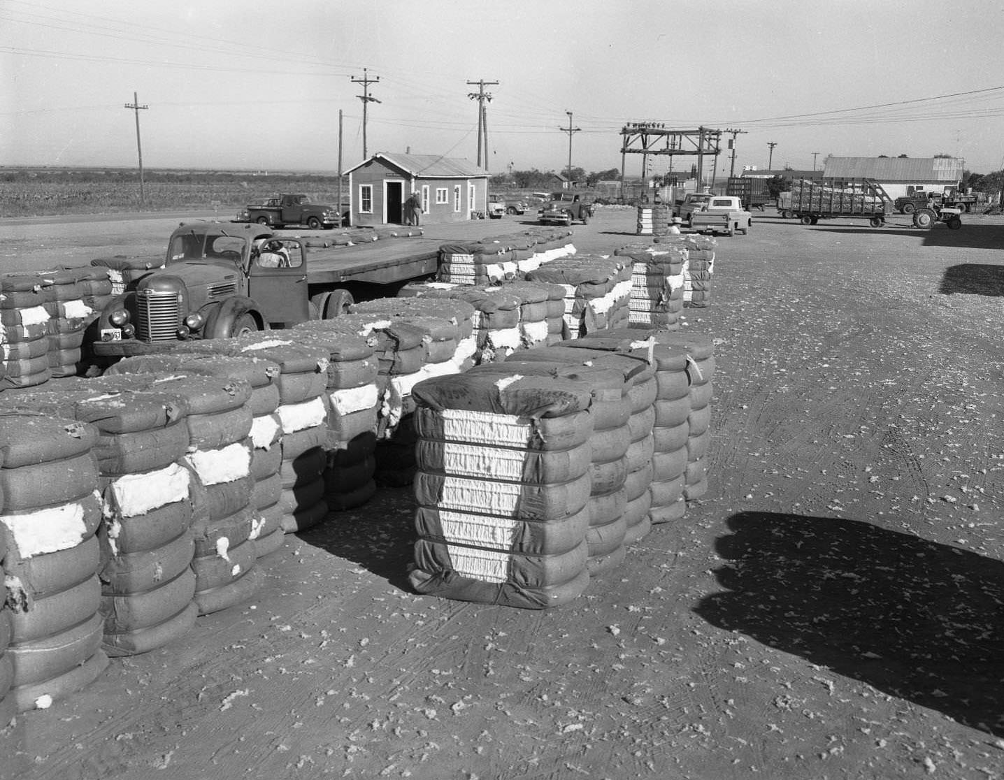 Stacks of Cotton at a Cotton Gin, 1958