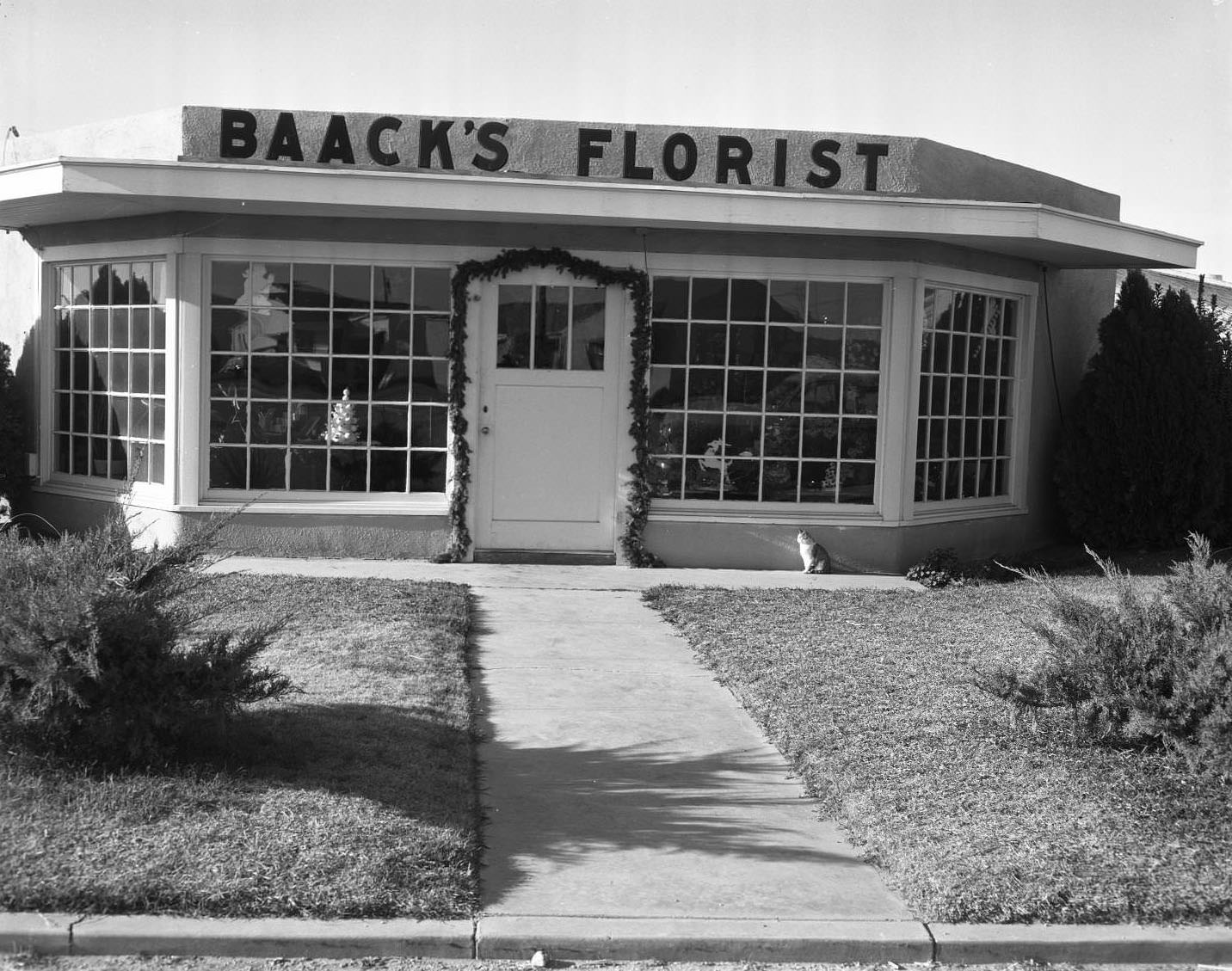 Baack's Florist, 1954. The building has a sign in front and large display windows. There is a cat sitting on the sidewalk in front of it.