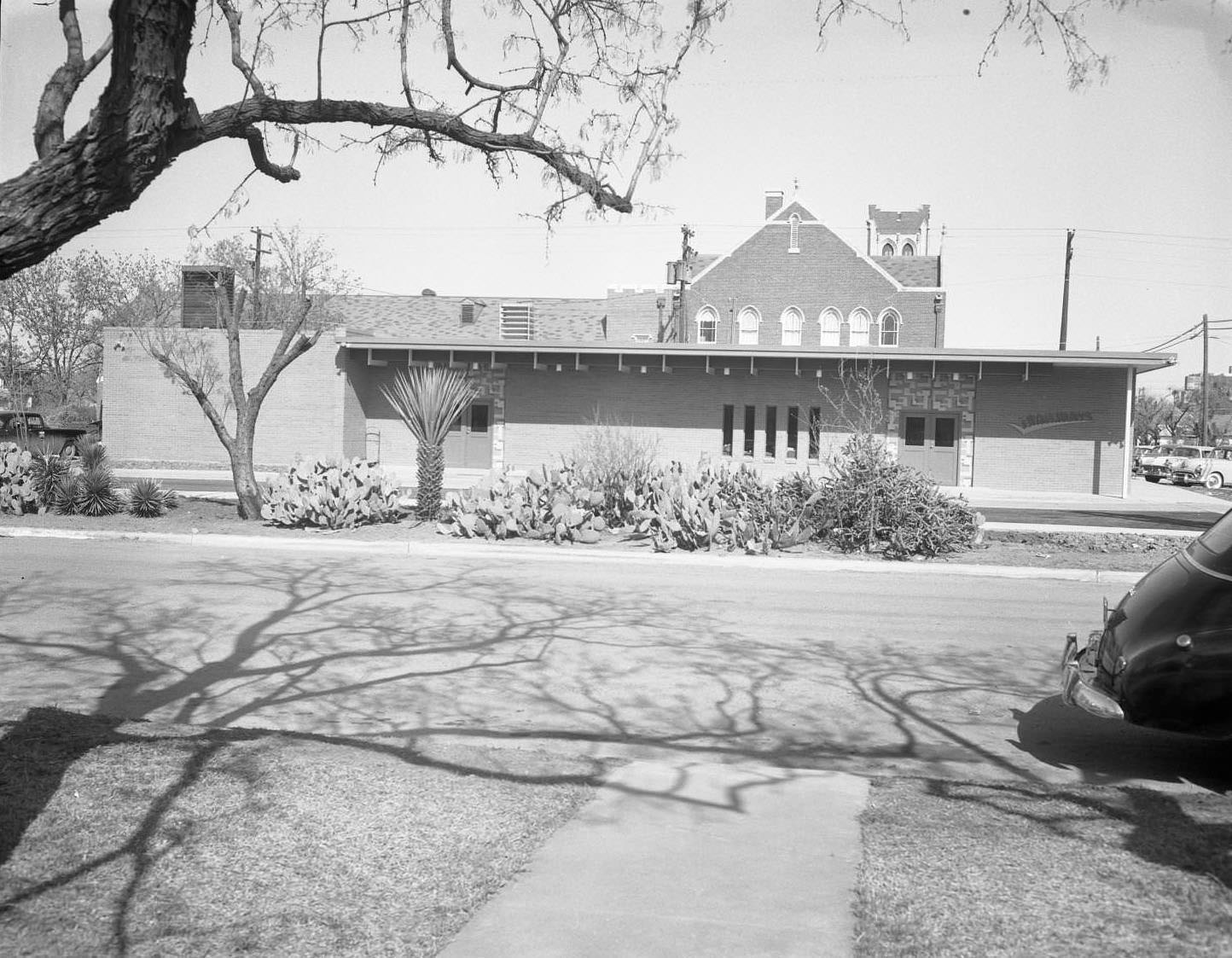 A side view of the exterior of the Trailways building, 1955. There is a garden of cacti and other succulents near the street. In the foreground is the back end of a car.