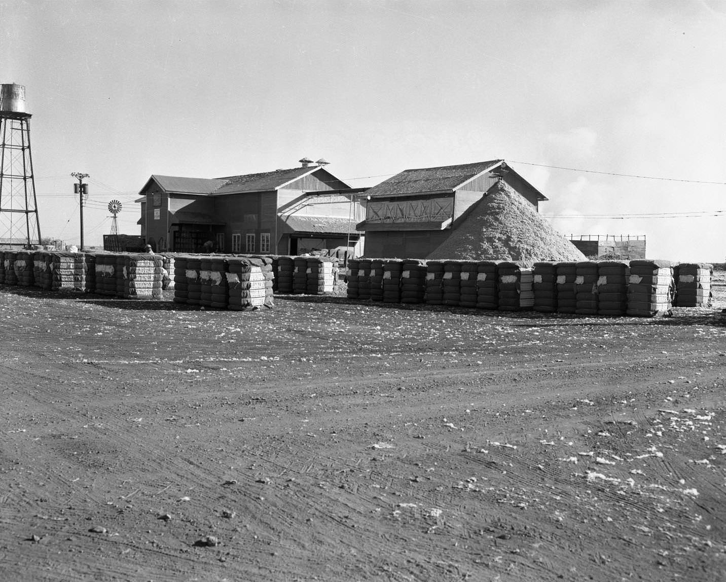 A cotton gin with bales of cotton in front and a water tower and windmill on the left, 1958